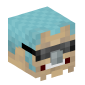 28884-franky