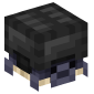 122474-shulker-turtle-black