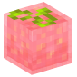 31874-jellyseed-fruit