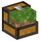 43883-chest-with-grass