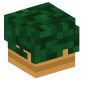 107408-potted-bush