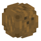 125299-coconut