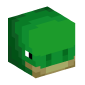 128956-turtle