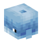 128645-dolphin