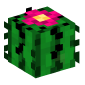 3520-cactus-flower