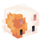75815-cat