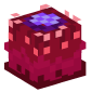 60872-crimson-fruit