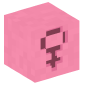 20873-pink-female