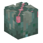 105300-ovomorph