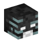 45024-wither-skull