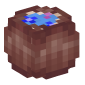 122693-coconut-drink