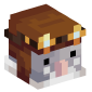 114335-rat-pilot