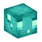 126333-baby-glow-squid