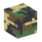 100646-camoflauge-pattern