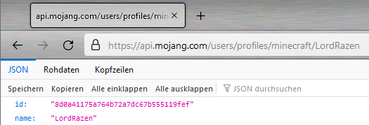 Mojang API response on a playername